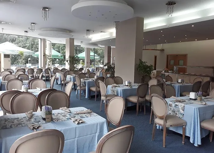 Sofia 4* Золотые Пески